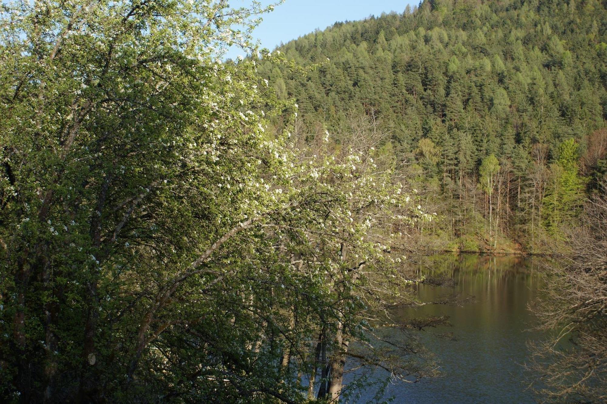 Landgasthof Trattnig Schiefling am See Room photo