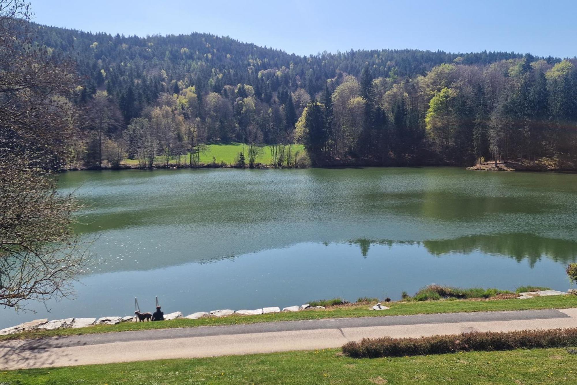 Landgasthof Trattnig Schiefling am See Room photo